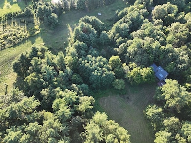 E853 Bestul Rd, Scandinavia, WI 54977 - photo 7