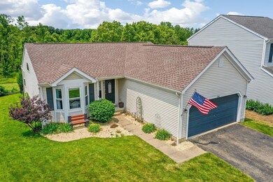 50-web-or-mls-DJI_0885