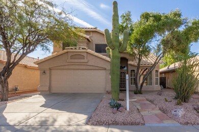 0001-Cholla (1)