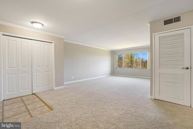 10570 Main St unit 503, Fairfax, VA 22030 - photo 4