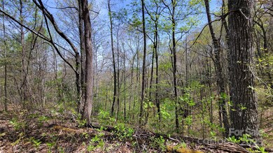 Long Range Mountain Views.