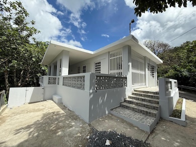 Jaguas Gurabo Camino Los Llinzos, Gurabo, PR 00778 - photo 5