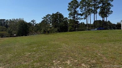 the View back toward Main Street