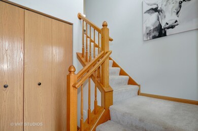 2607 Sheehan Ct unit 203, Naperville, IL 60564 - photo 5