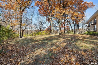 2975 W Cannes Dr unit 14, Peoria, IL 61615 - photo 2