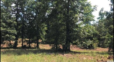 0 Ladybug Way unit 21033491, Royal, AR 71968 - photo 2