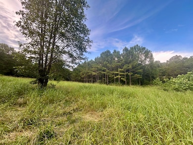 771 Red Rock Trail, Pocahontas, AR 72455 - photo 5