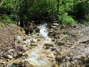 season creek