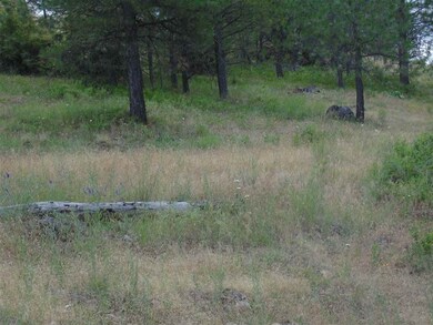 00 E Robin Lane Lot 4 Ln, Chattaroy, WA 99003 - photo 4