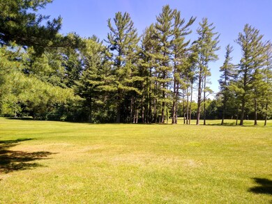 2298 W M-55, West Branch, MI 48661 - photo 6