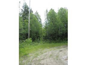 LOT 49 Forest View Dr, Effingham, NH 03882 - photo 3