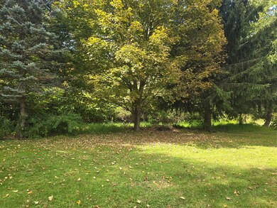 Sweet, private back yard