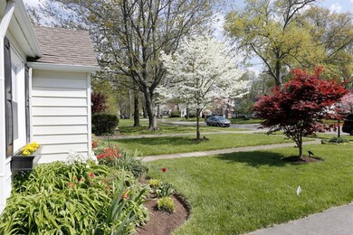 Enjoy the trees and quaint street here i