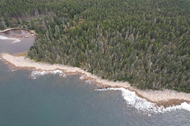 0 Butler Rd unit 1617632, Frenchboro, ME 04685 - photo 3