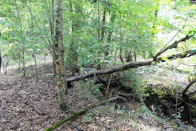 TBD Crooked Creek Rd, Chapin, SC 29036 - photo 3