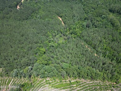 0 Rd, Noxapater, MS 39346 - photo 4