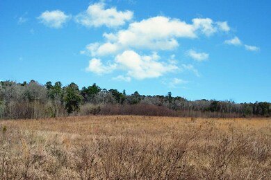 0 SC125 field