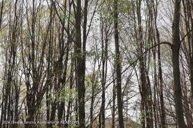 2645 Navigator Ln, Lansing, MI 48911 - photo 6