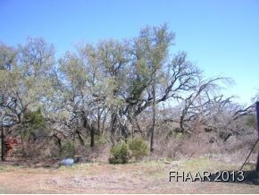 4331 Fm 1113, Copperas Cove, TX 76522 - photo 4