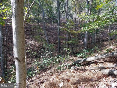 1 Apple Tree Ln, Moorefield, WV 26836 - photo 5