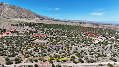 E 02. DJI_20250323122234_0092_D