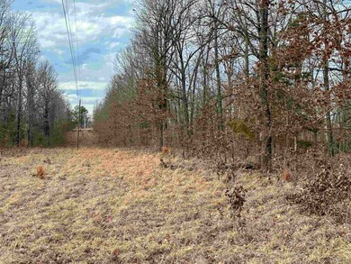 xx Cave Creek Rd, Mammoth Spring, AR 72554 - photo 4