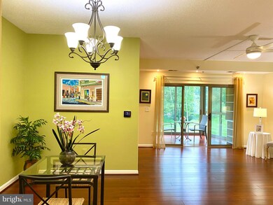 2904 N Leisure World Blvd unit 215, Silver Spring, MD 20906 - photo 7