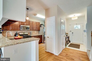 7226 Stover Dr, Alexandria, VA 22306 - photo 6