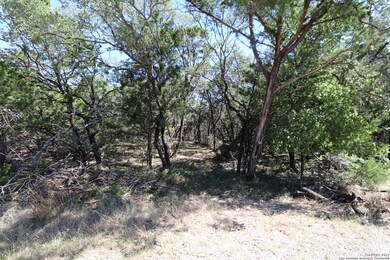 21710 Vale Pass, San Antonio, TX 78255 - photo 2