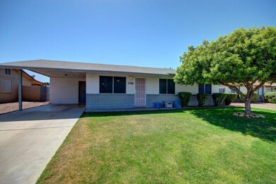 0019-central (19)