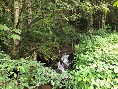 99999 Scronce Creek Rd, Burnsville, NC 28714 - photo 2