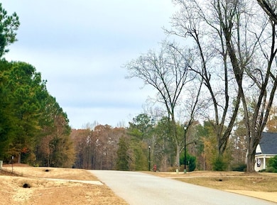 Lot 27 Rolling Meadows Way, Waverly Hall, GA 31831 - photo 3