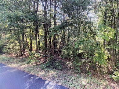 TBD Goldonna Rd, Gorum, LA 71031 - photo 3