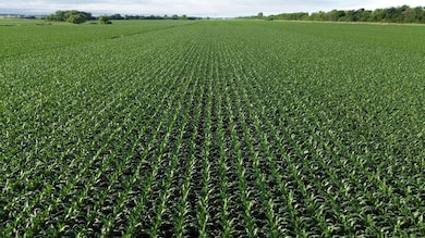 256th and Ditch Rd, Renner, SD 57055 - photo 4