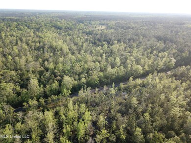 0 Peewee Miller Rd, Lucedale, MS 39452 - photo 5