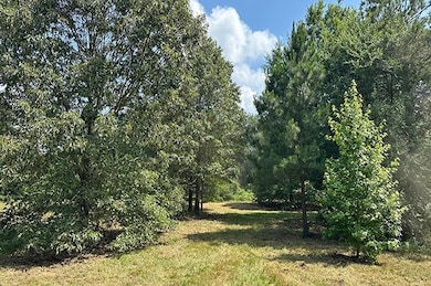 00 County Road 4885, Winnsboro, TX 75494 - photo 4