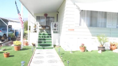 Astroturf and succulent potted plants.