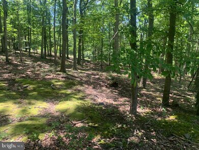 296 High Mountain View Rd, Romney, WV 26757 - photo 5