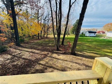Rear Yard