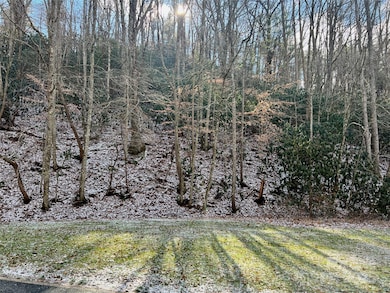 1927 Ammons Branch Rd, Marshall, NC 28753 - photo 2