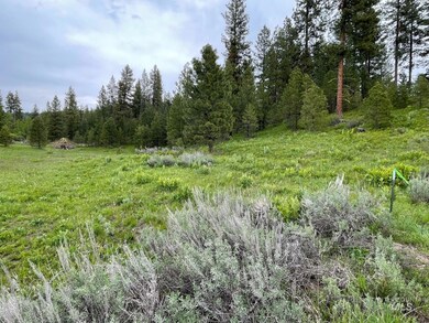 8 Joshua Dr, Cascade, ID 83611 - photo 3