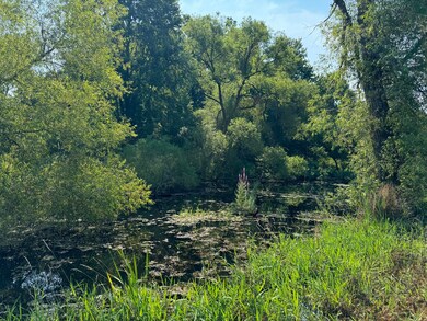 30,40,&50 62nd St, Decatur, MI 49045 - photo 3