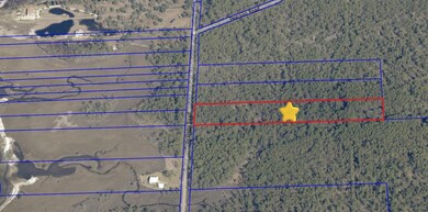 10600 Pearson Rd, Milton, FL 32583 - photo 7