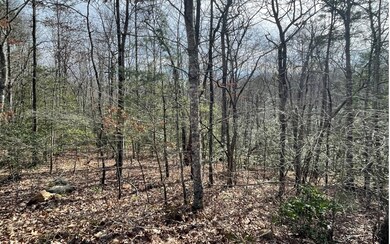 Additional View