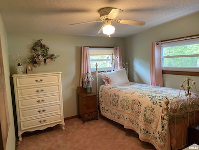 3526 Kendale Acres Rd, Tamaroa, IL 62888 - photo 7