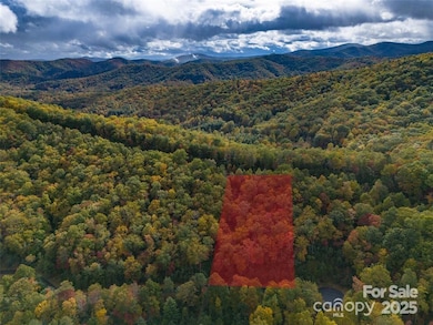 99999 Mills River Way unit Lot 107, Mills River, NC 28742 - photo 4