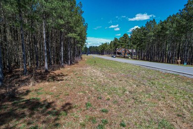 0 Wilderness Dr unit 1352099, Jasper, TN 37347 - photo 7