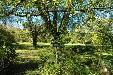 1023 S 24 N A, Parsons, KS 67357 - photo 4