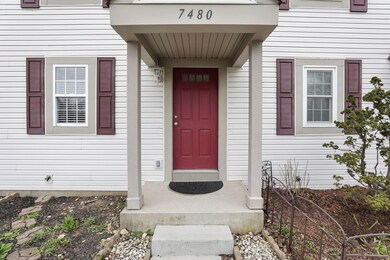 5-web-or-mls-011A0461