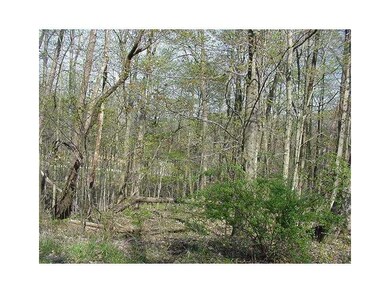 View. GREAT PLACE TO BUILD YOUR DREAMHOME